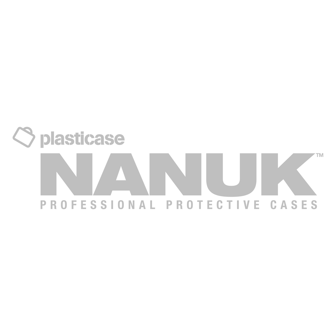 NANUK Custom insert 909 for CLASSIC GUN